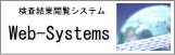 Web-Systems