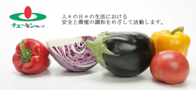 画像に alt 属性が指定されていません。ファイル名: syoku_1.jpg